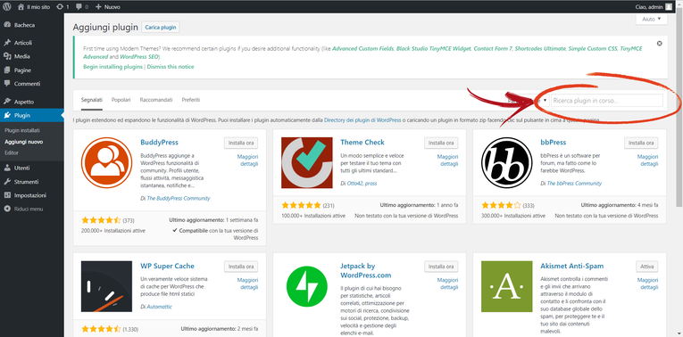 Wordpress Ricerca Plugin